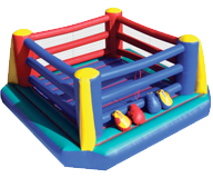 Professional Party Boxing Rings for Rent in New Waverly