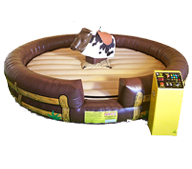 Rent Fun Mechanical Bulls for Kids Parties in High Point