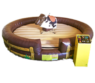 Rent Fun Mechanical Bulls for Kids Parties in Clifton