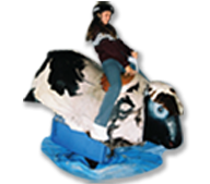 High Quality Kids Party Mechanical Bulls in Waterville