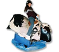 High Quality Kids Party Mechanical Bulls in Wichita Falls