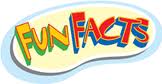 Rent Kids Water Slides at Low Prices in Newton